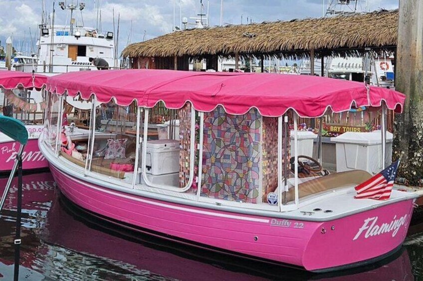 Electric Duffy Boat captained charters in San Diego area. New Pink Boats tour great choice for families with kids and couple 5