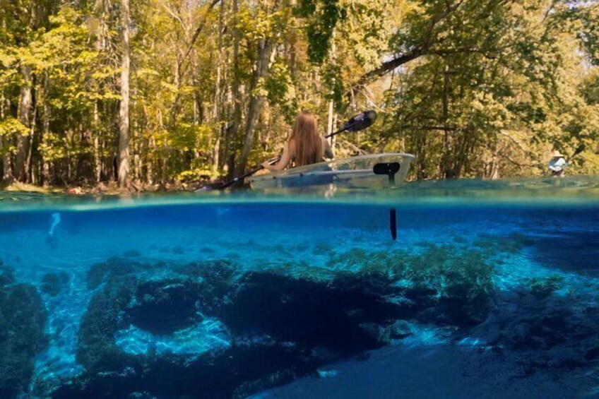 A clear blue pool surrounded by trees. 1