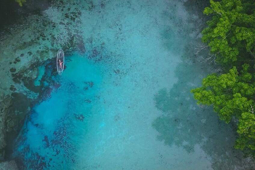 2 Hour Glass Bottom Guided Kayak Eco Tour in Gilchrist Blue 2