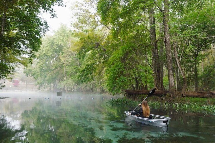 A calm river with a boat, surrounded by dense green trees. 4