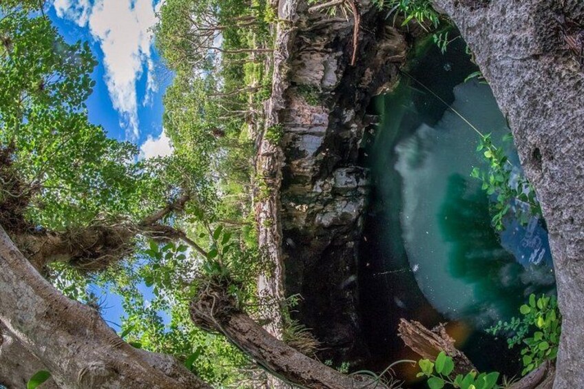 Dive in the sacred cenote for a swim 5