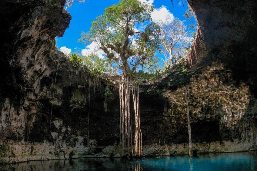 4 Cenotes Full Day Tour from Merida 1