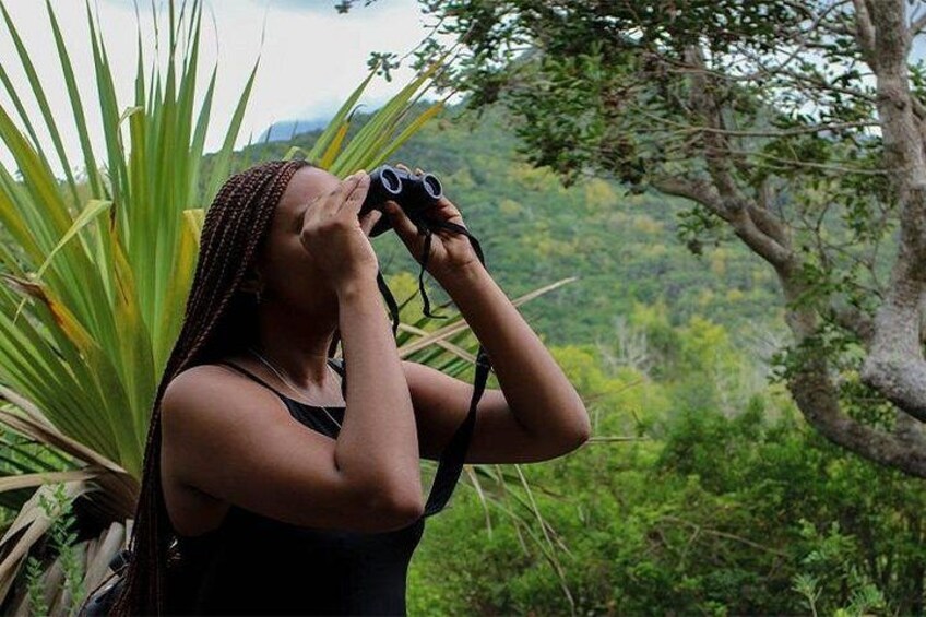 Nature Exploration at Ebony Forest 5