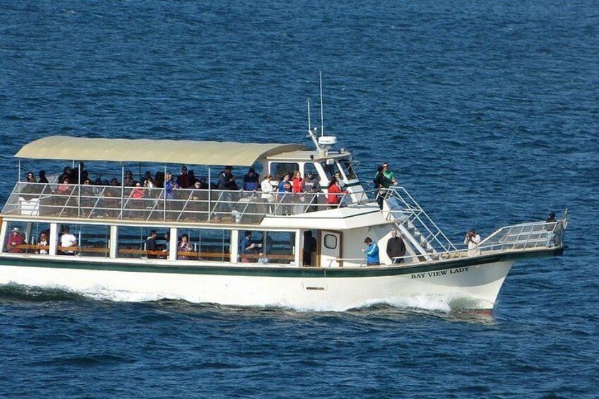 Un bote llamado 'Bay View Lady' con pasajeros a bordo, navegando sobre una masa de agua. 3
