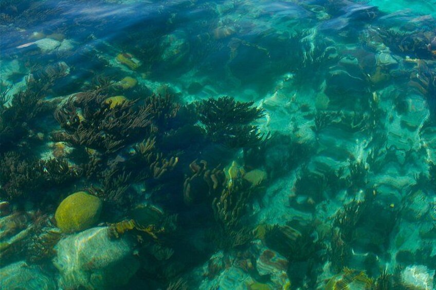 Two Stop Snorkel and Shipwreck from Dockyard 5