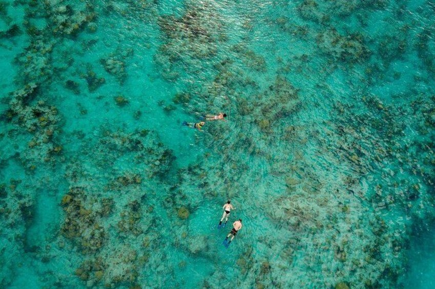 Two Stop Snorkel and Shipwreck from Dockyard 1