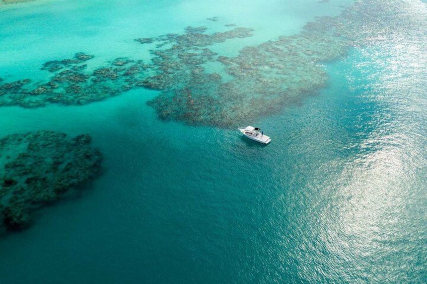 Two Stop Snorkel and Shipwreck from Dockyard 3