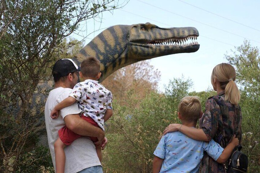 Half Day Tour in the Caves of Hams and Dinosaur Land