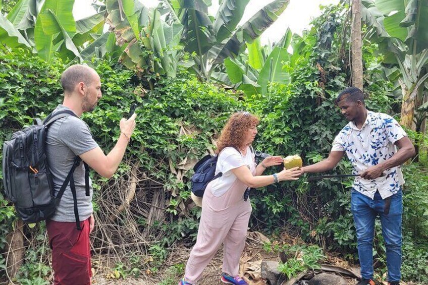 Banana Plantation Amazing Experience in Santiago