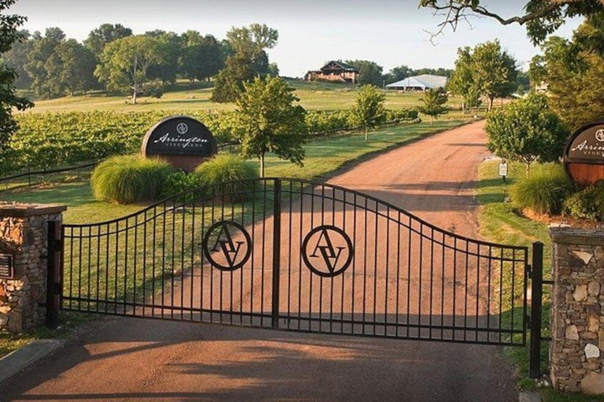 A gated entrance with a vineyard in the background. 3