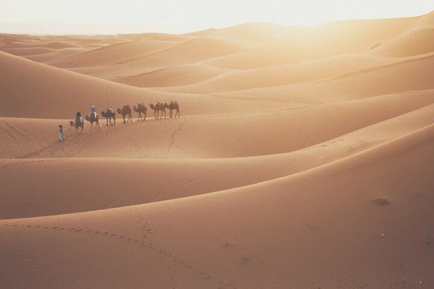Un grupo de camellos y jinetes cruzan dunas de arena en un paisaje desértico. 3