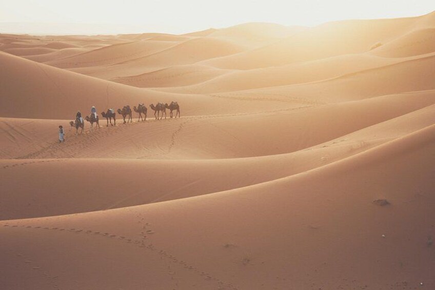 Doha Desert Adventure, Sandboarding, Dune Bashing,Inland Sea Tour 2