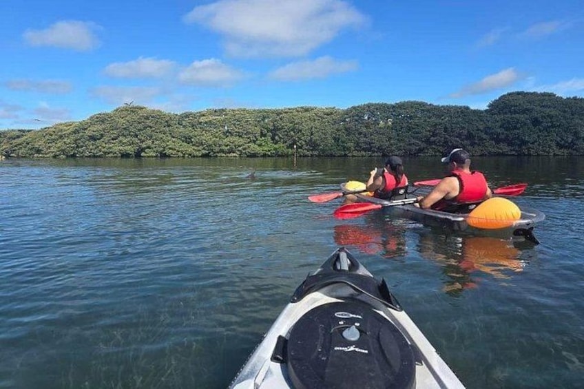 Kayaking Clear through Clearwater 1