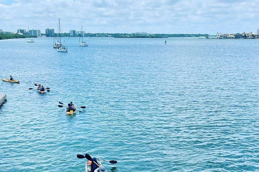 Kayaking Clear through Clearwater 5