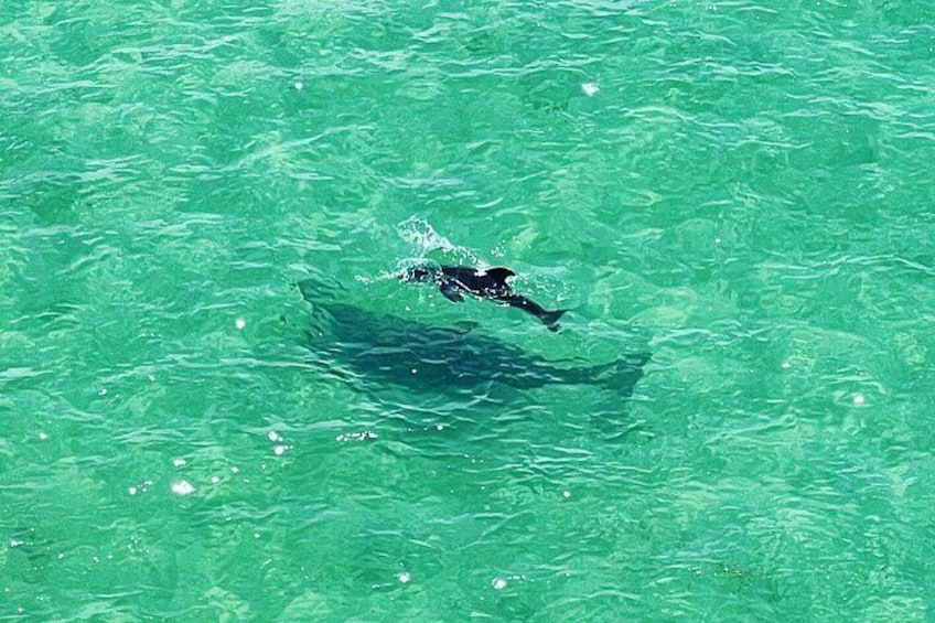 Kayaking Clear through Clearwater 4