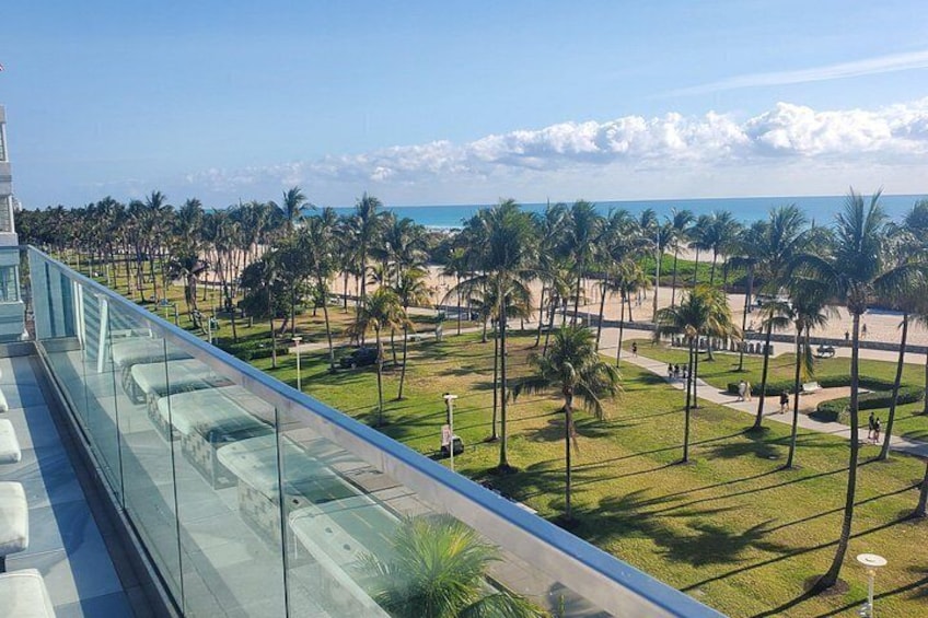 Best of Miami Beach Top Sights & Hidden Gems Walk + Trolley Tour 3