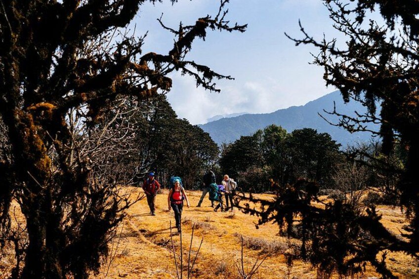 A group of hikers walking on a trail surrounded by dry grassland and sparse trees, with mountains in the background. 5