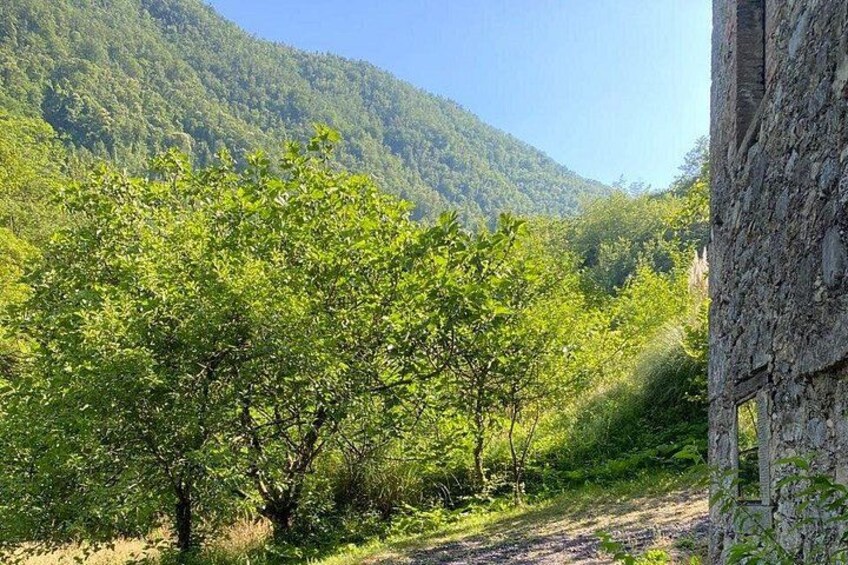 Discover the Valley of Lucca with a private tour by van 4