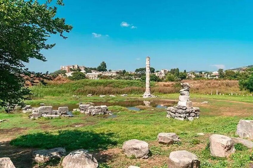 Ephesus and Temple of Artemis Private Tour from Kusadasi Port 3