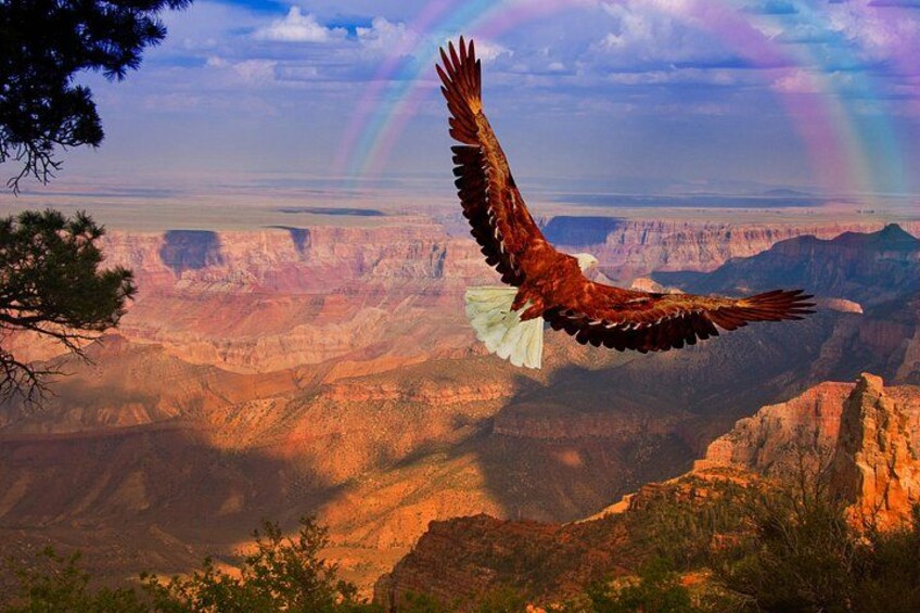 A bird of prey flying over a canyon with a rainbow in the background. 5