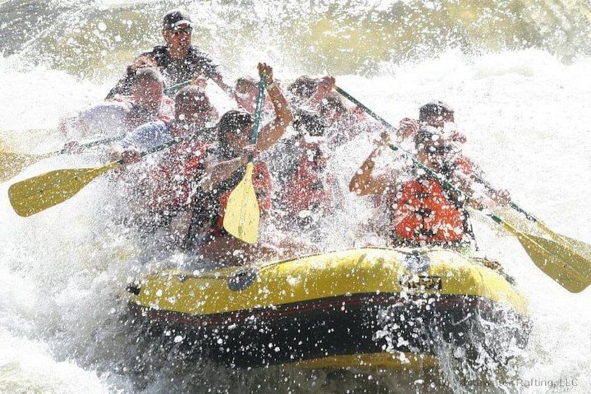 ManEater Rapid 4