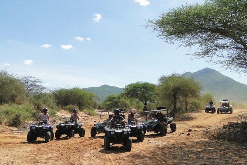 Off-road vehicles on a dirt path with trees and a mountain in the background. 1