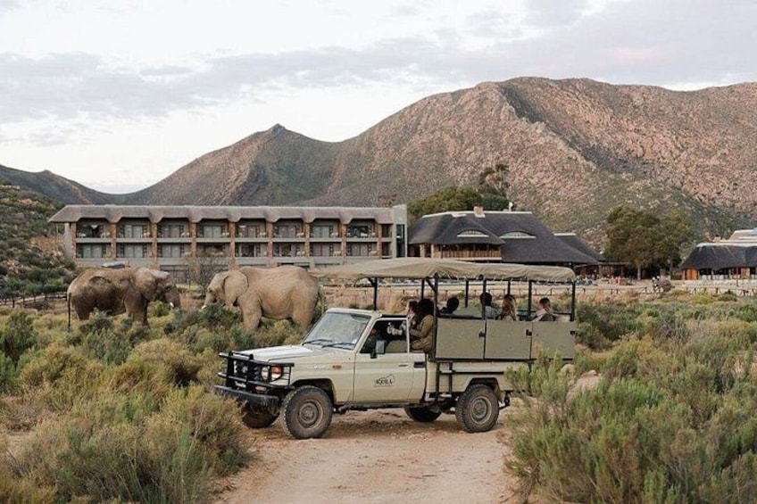 A safari vehicle, elephants, and a lodge in a natural landscape. 4