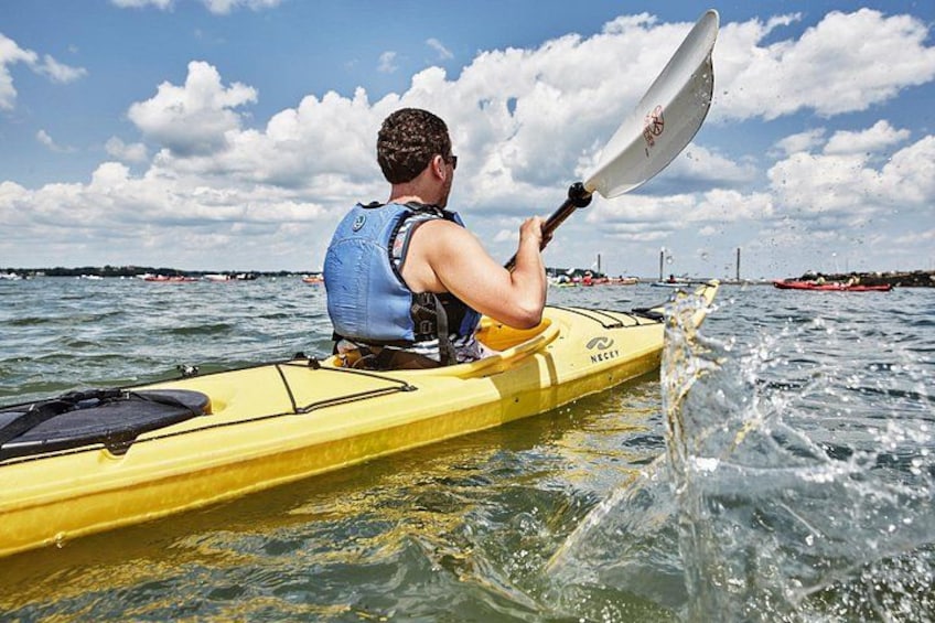 Explore the waters of Casco Bay! 1