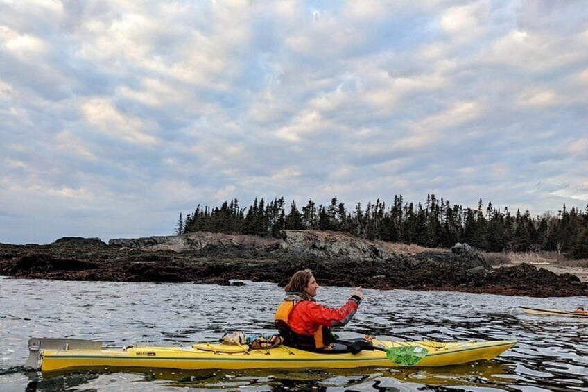 Une personne pratiquant le kayak sur une étendue d’eau, avec une rive boisée en arrière-plan. 5