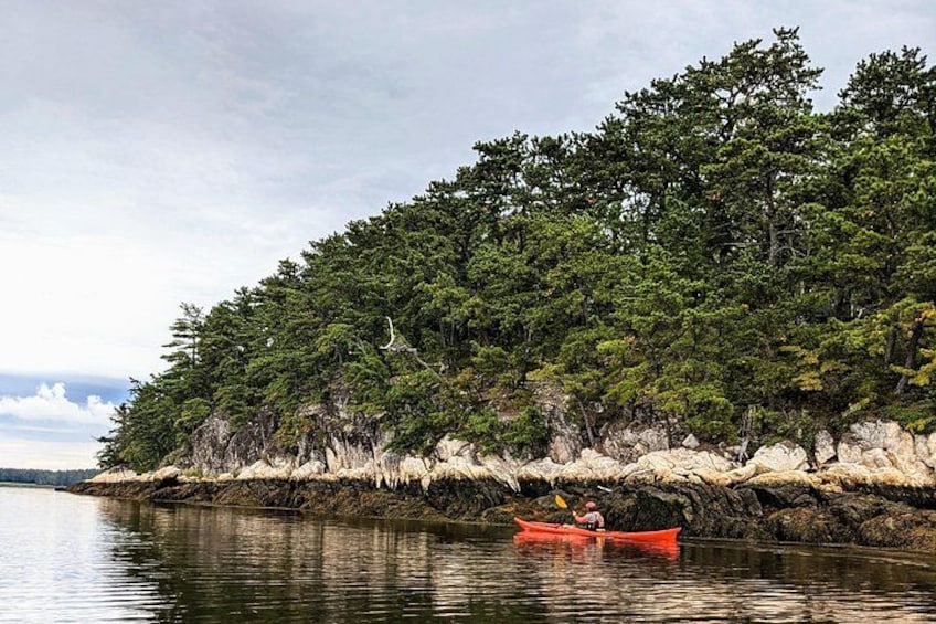 A calm river with a canoe, dense forest, and rocky shoreline. 2