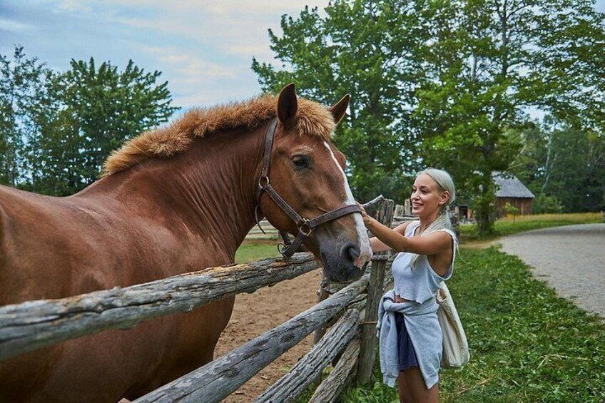 Family visit to the Acadian Historic Village 5