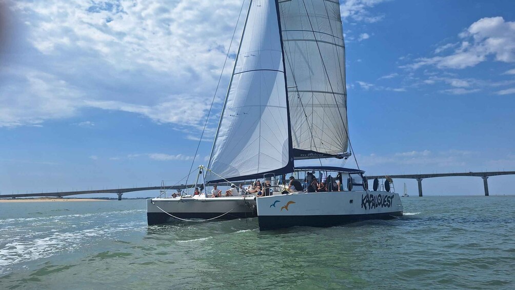 Picture 8 for Activity La Rochelle: Coastline Sailing Cruise 3