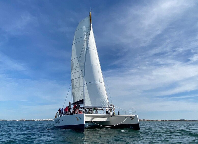 La Rochelle: Coastline Sailing Cruise 1