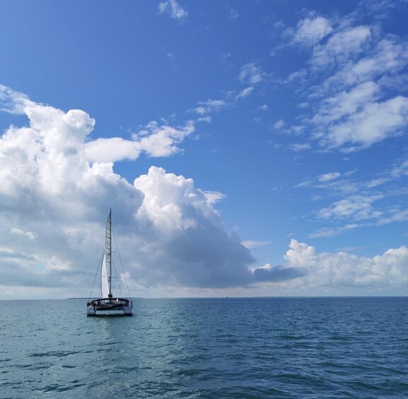 Picture 9 for Activity La Rochelle: Coastline Sailing Cruise 4