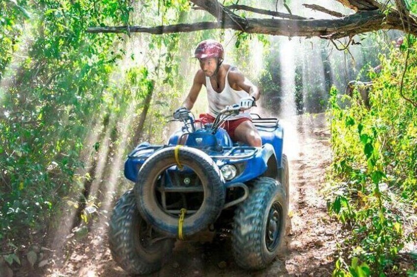 A person riding a blue ATV on a dirt path through a forest. 1