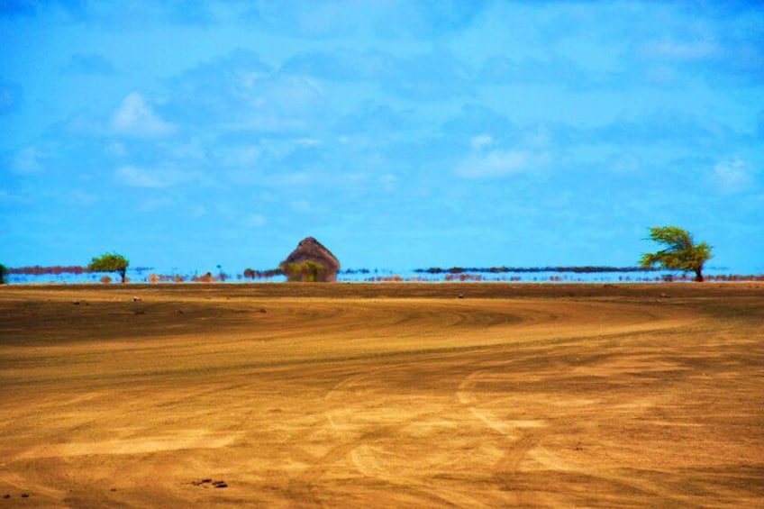 A barren landscape with a single thatched hut, a few scattered trees, and a clear blue sky. 2