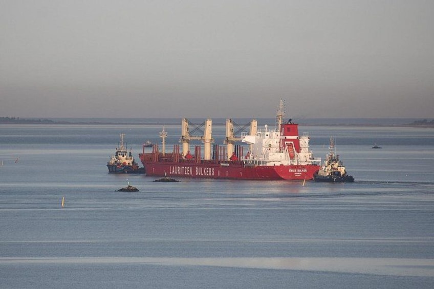 Un gran carguero rojo llamado 'LAHRITZEN BULKERS' con dos remolcadores cerca en un mar tranquilo. 4