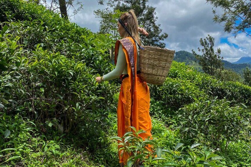 Une personne vêtue d’une robe orange se promène dans une luxuriante plantation de thé. 3