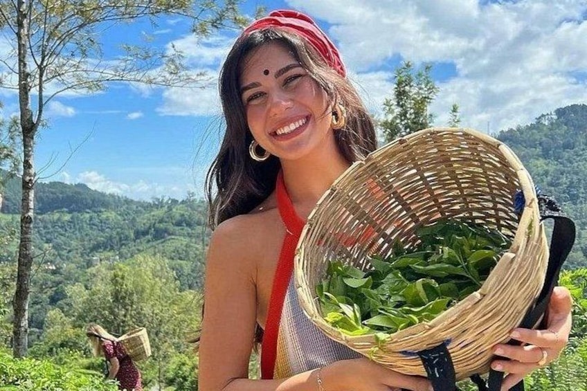Iemand houdt een mand met groene bladeren vast, met een bergachtig landschap op de achtergrond. 5