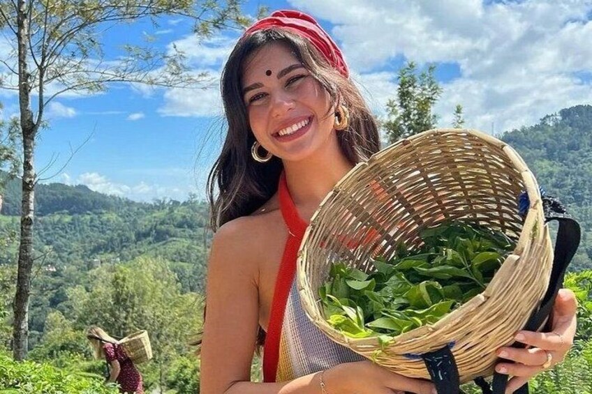 Une personne tenant un panier tressé rempli de feuilles vertes, se tenant debout dans une région montagneuse, avec des arbres et un ciel dégagé. 5