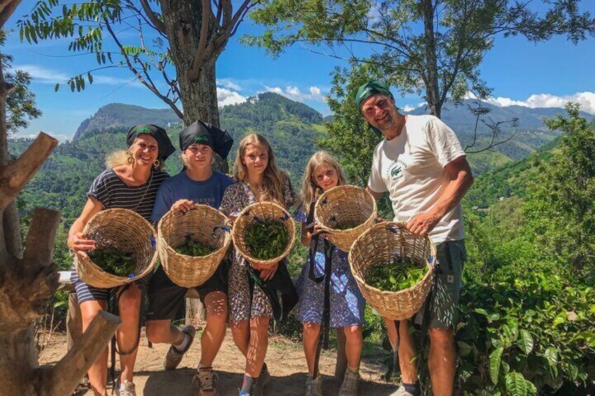 Cinco personas sosteniendo canastas llenas de hojas verdes en una zona montañosa. 5