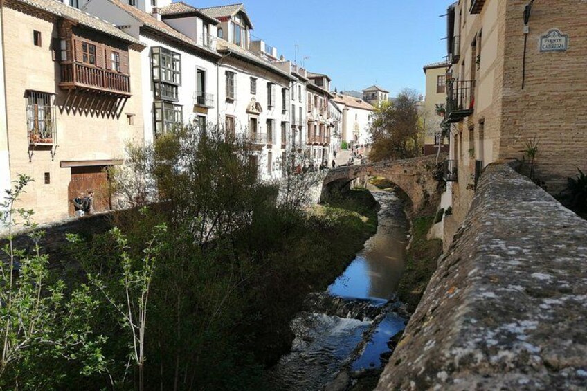 Stroll through Granada: historic center and Albayzín 3