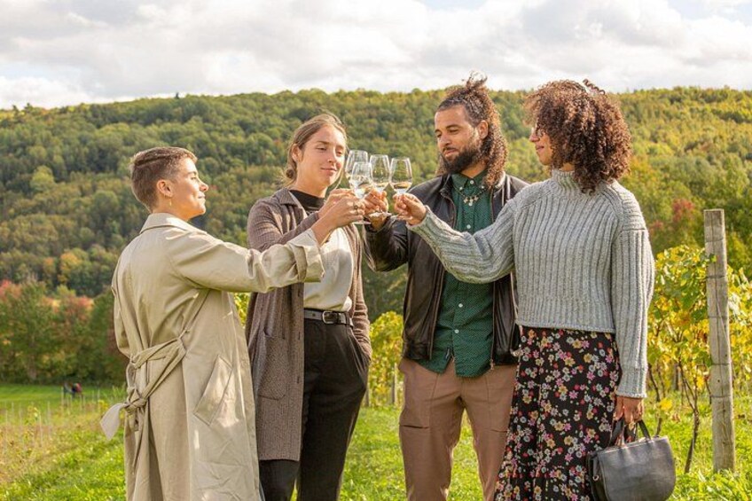 Wine Enthusiast Tour Lead by a Sommelier 3