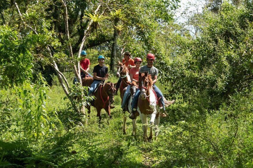 People riding horses through a dense forest. 2
