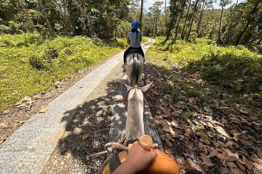 A person riding a horse along a paved path in a forested area. 5