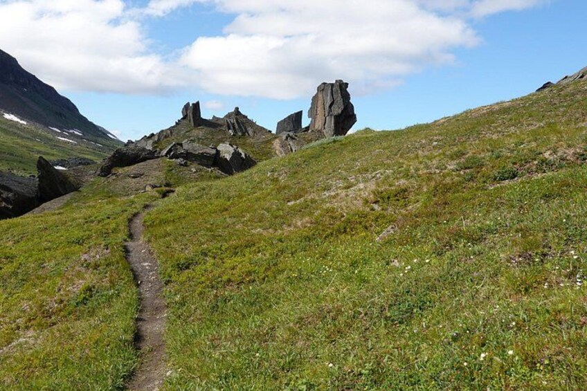 Trollsjön Guided Day Tour 5