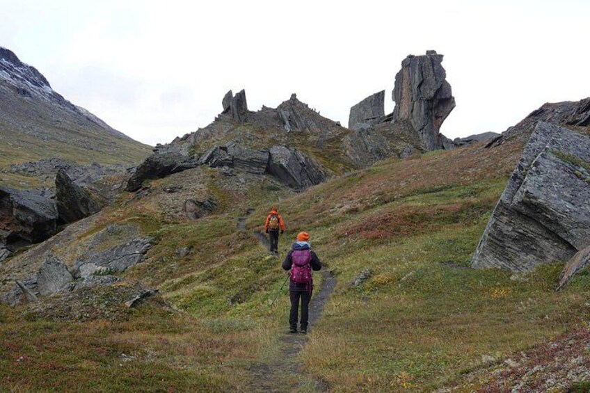 Trollsjön Guided Day Tour 2