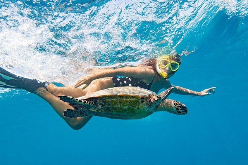 Snorkeling with turtles 2