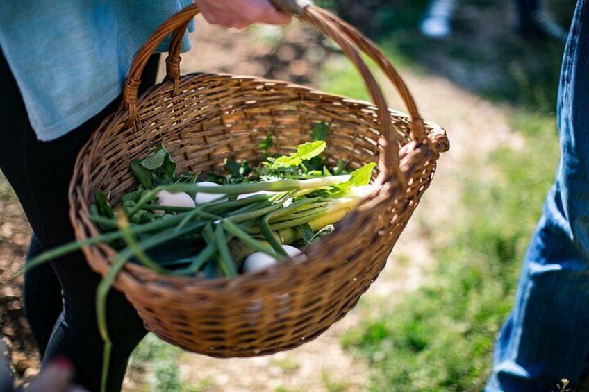 Pick the veggies right from the garden 2