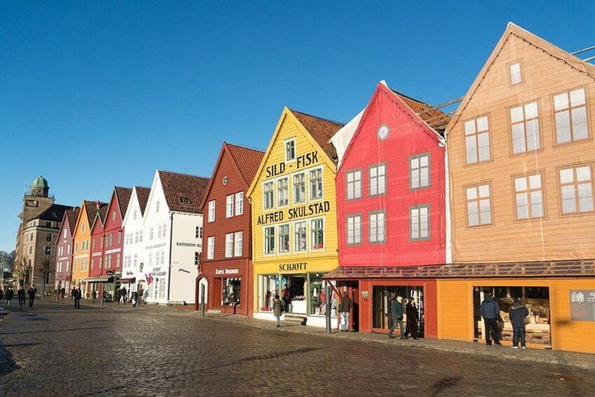 Private Transfer From Oslo To Bergen With a 2 Hour Stop 3